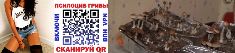 Галлюциногенные грибы мухоморы  Касимов 