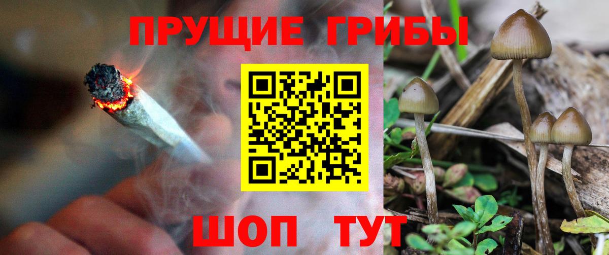 Псилоцибиновые грибы ЛСД  Касимов 